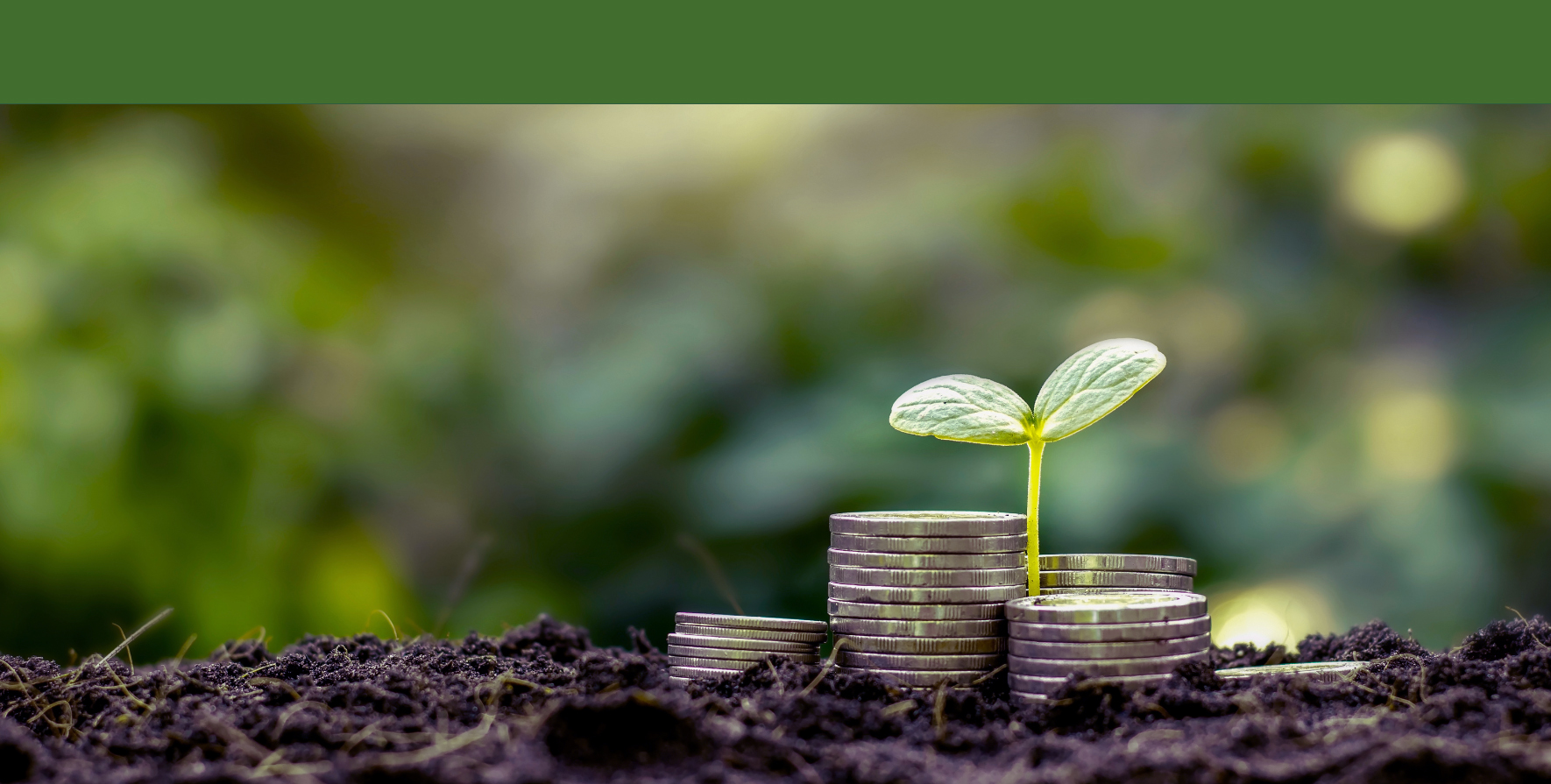 Brote junto a monedas, símbolo de inversión sostenible